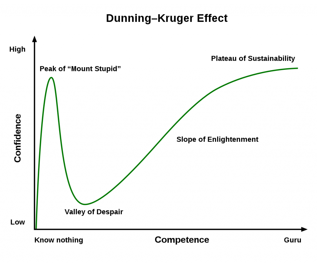 نمودار اثر دانینیگ کروگر که در اپیزود ششم فصل اول آنکادر در مورد آن صحبت شد