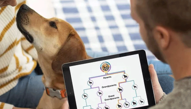 تحلیل ژنتیکی سگ‌های خانگی